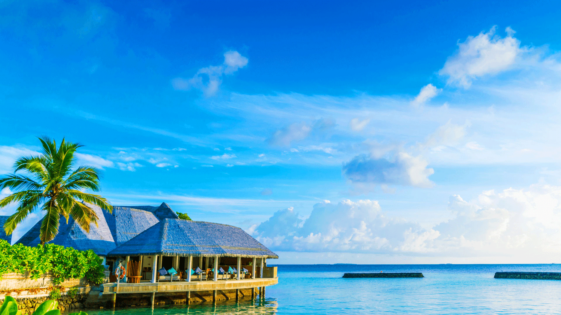 Best Vacation Rental